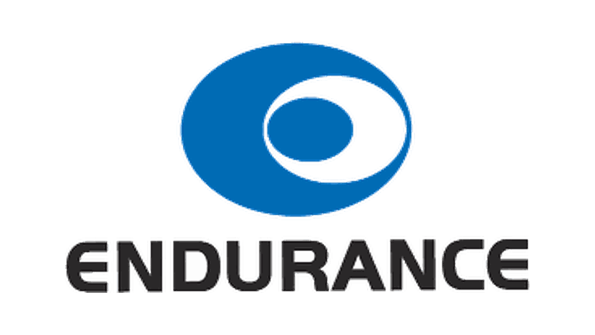 ENDURANCE logo